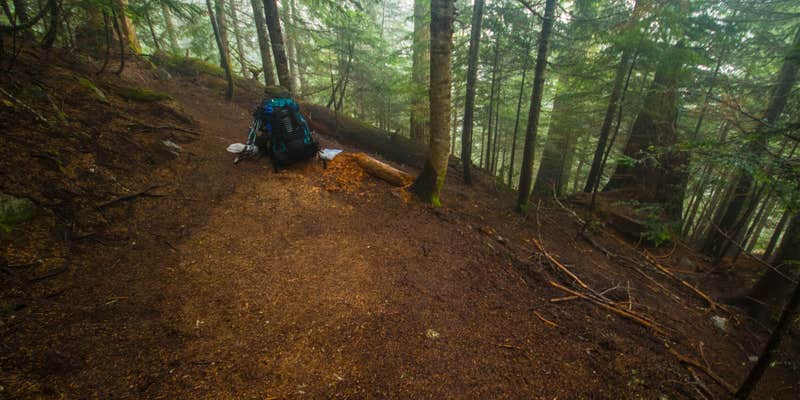 Camper submitted image from Johannesburg Campground — North Cascades National Park