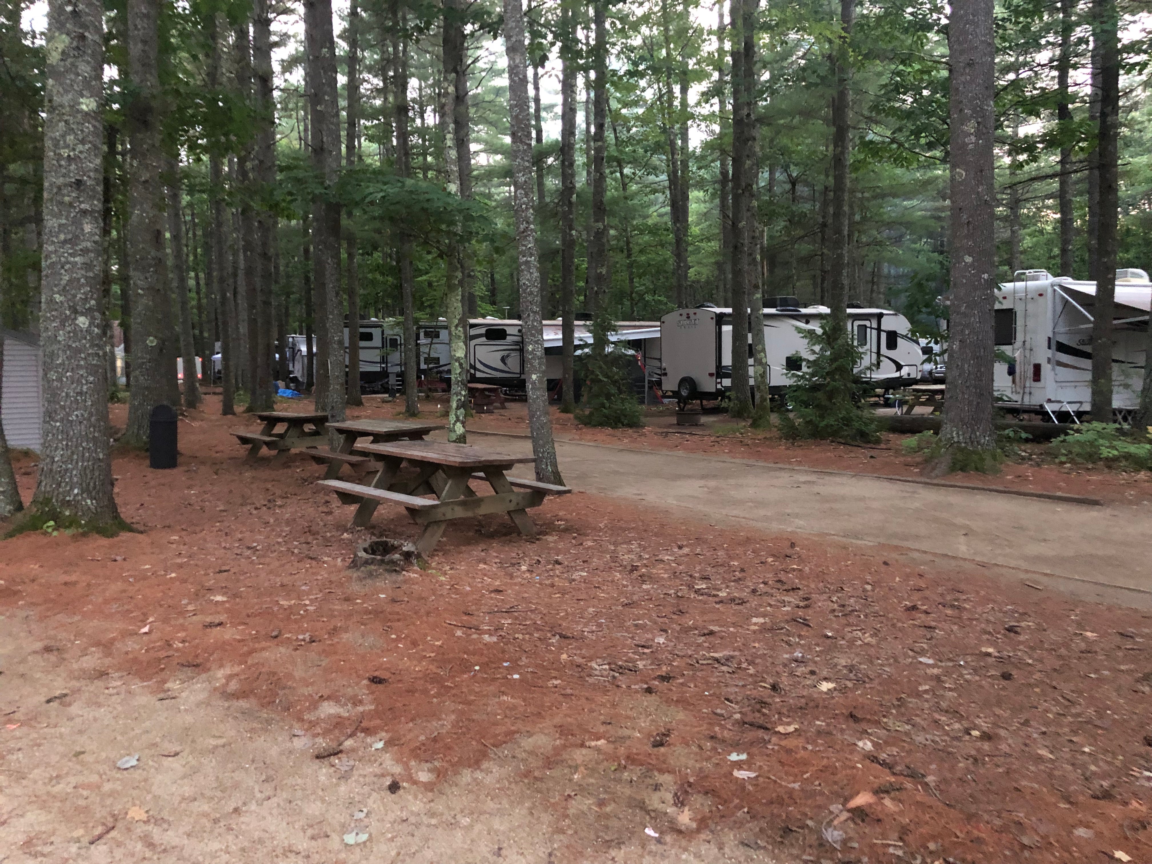 Camper submitted image from Poland Spring Campground - 1
