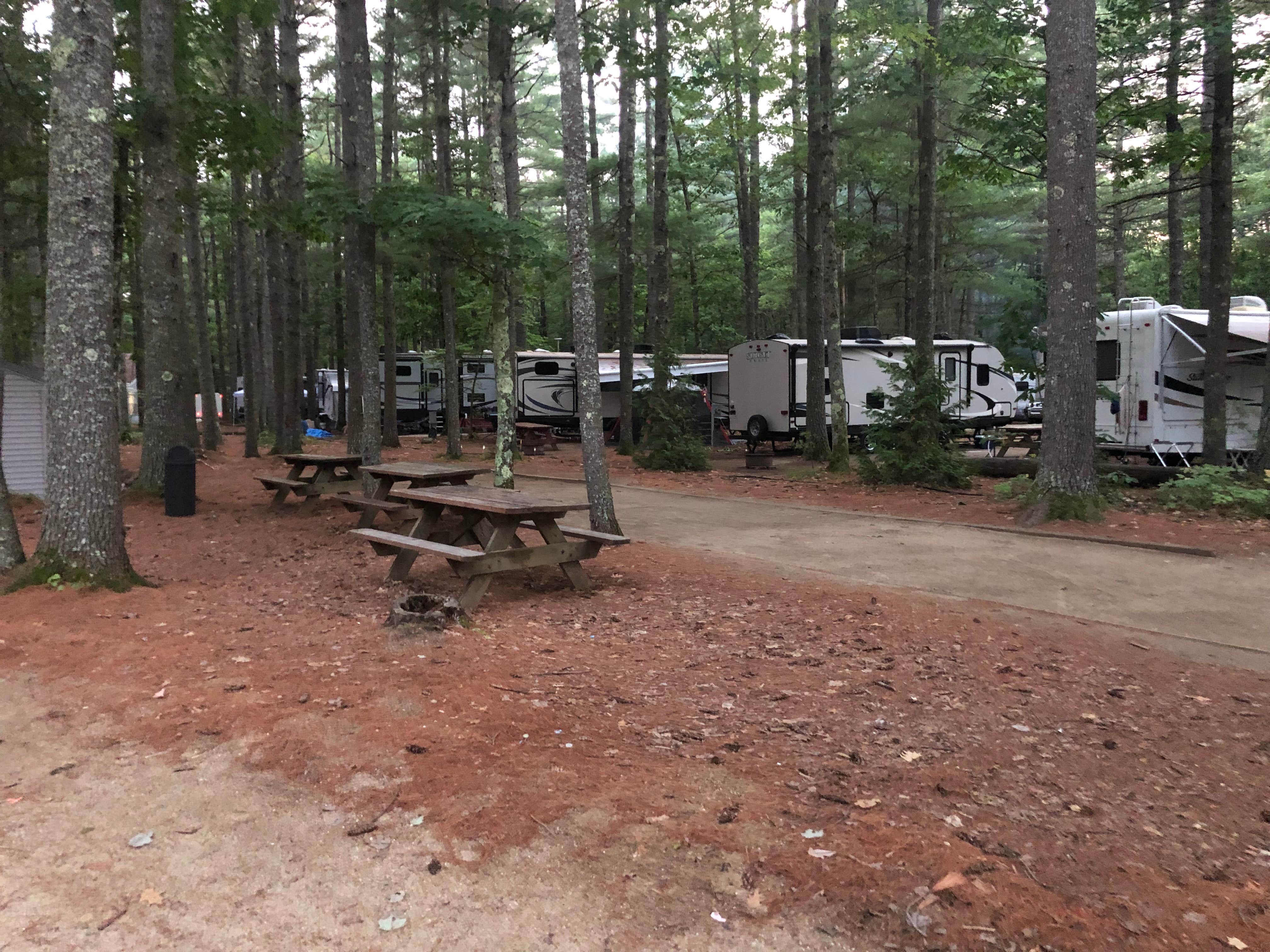 Camper submitted image from Poland Spring Campground - 1