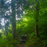 Review photo of Johannesburg Campground — North Cascades National Park by Shari  G., September 28, 2016