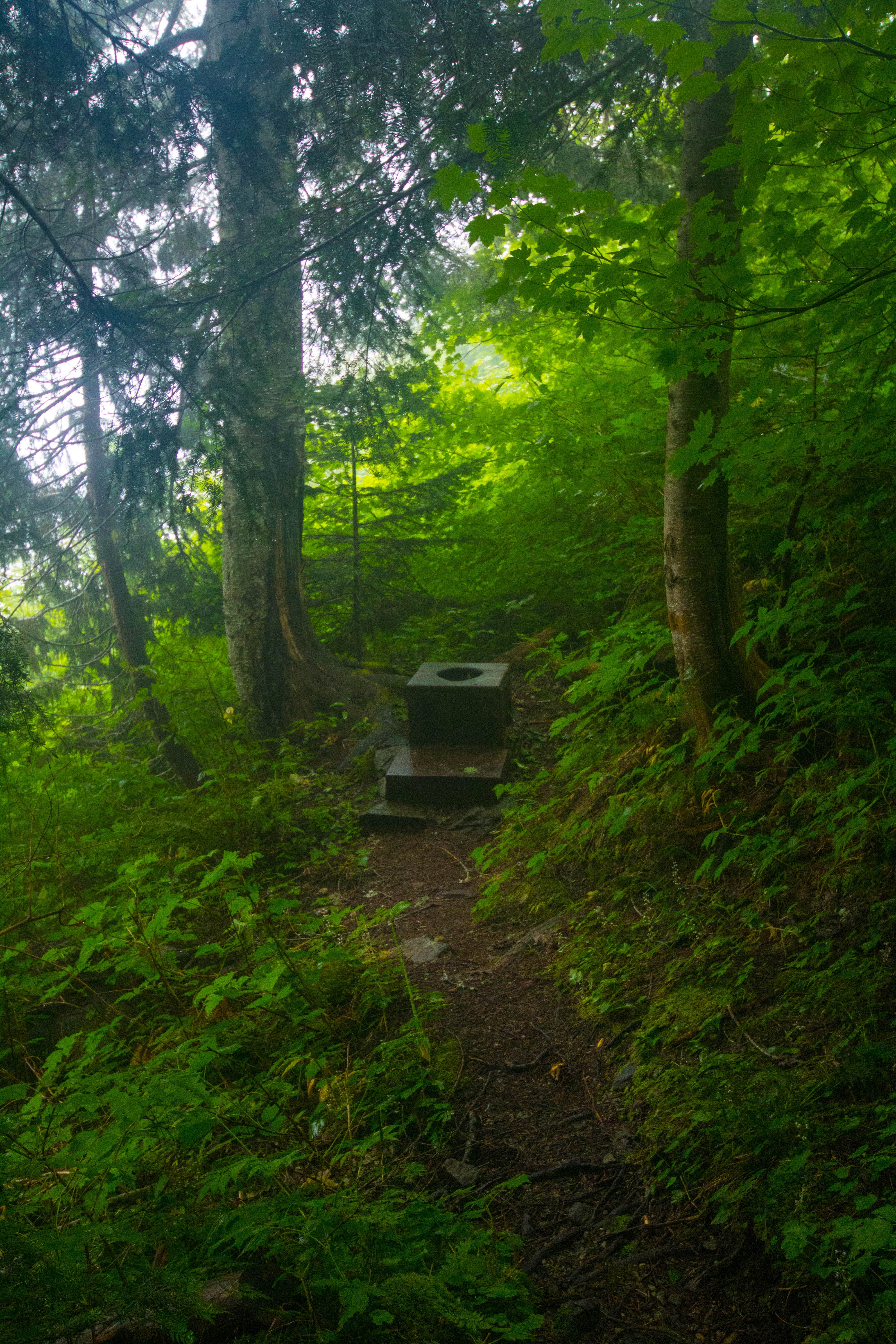 Camper submitted image from Johannesburg Campground — North Cascades National Park - 2