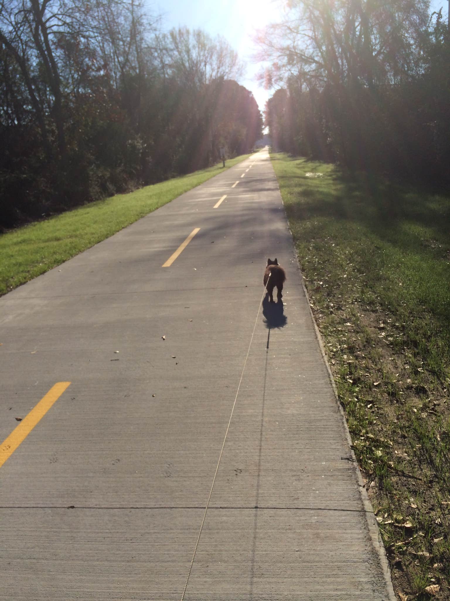 Camper submitted image from Hunting Island State Park Campground - 2