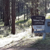 Review photo of Allingham Campground by Ryan W., August 29, 2019