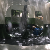 Review photo of First Landing State Park Campground by RL , August 29, 2019
