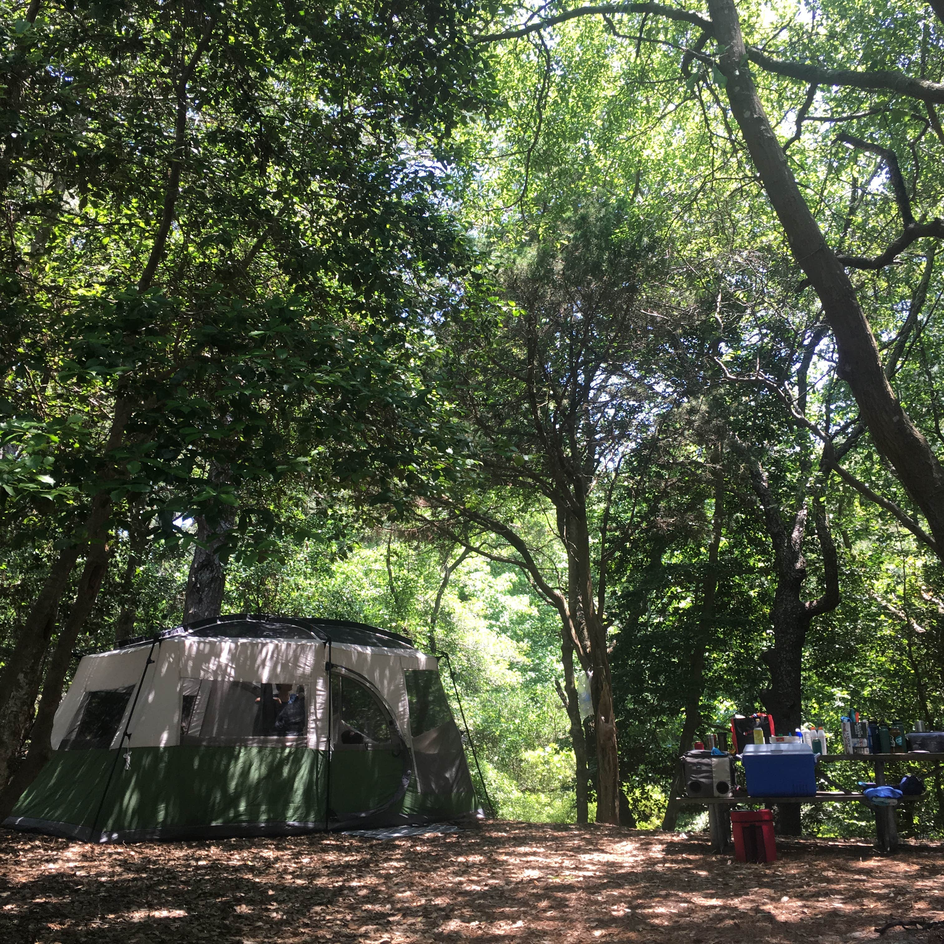 RL's photo at First Landing State Park Campground near Chesapeake, VA