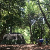 Review photo of First Landing State Park Campground by RL , August 29, 2019