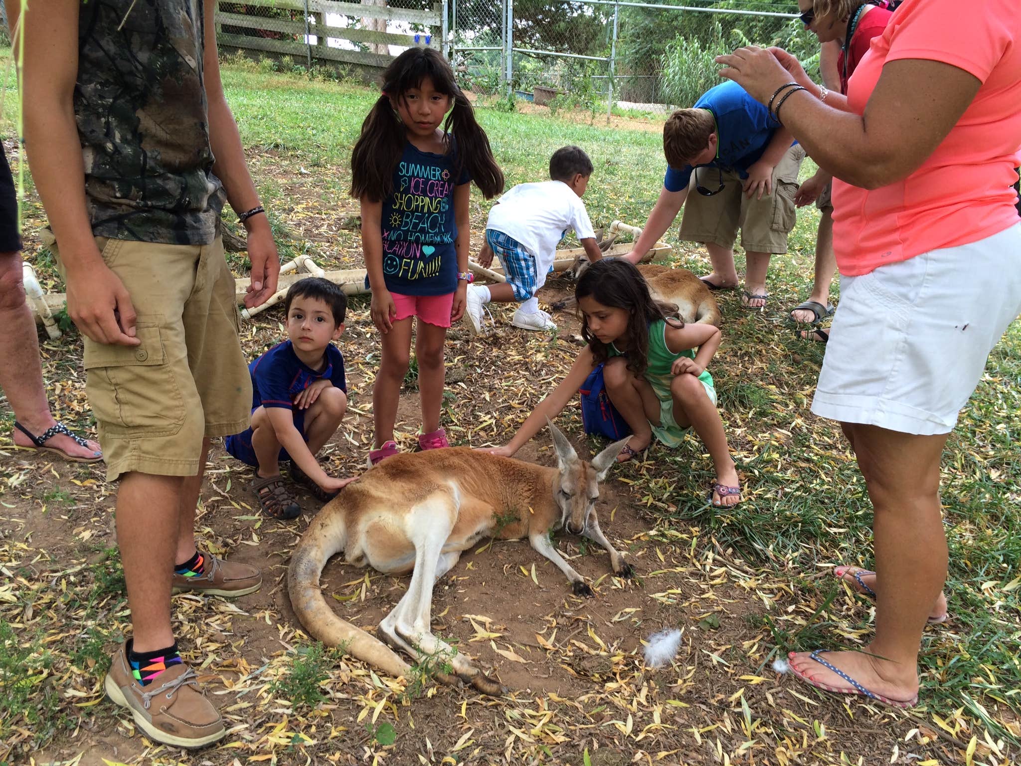 Camper submitted image from Yogi Bear's Jellystone Park at Mammoth Cave - 2