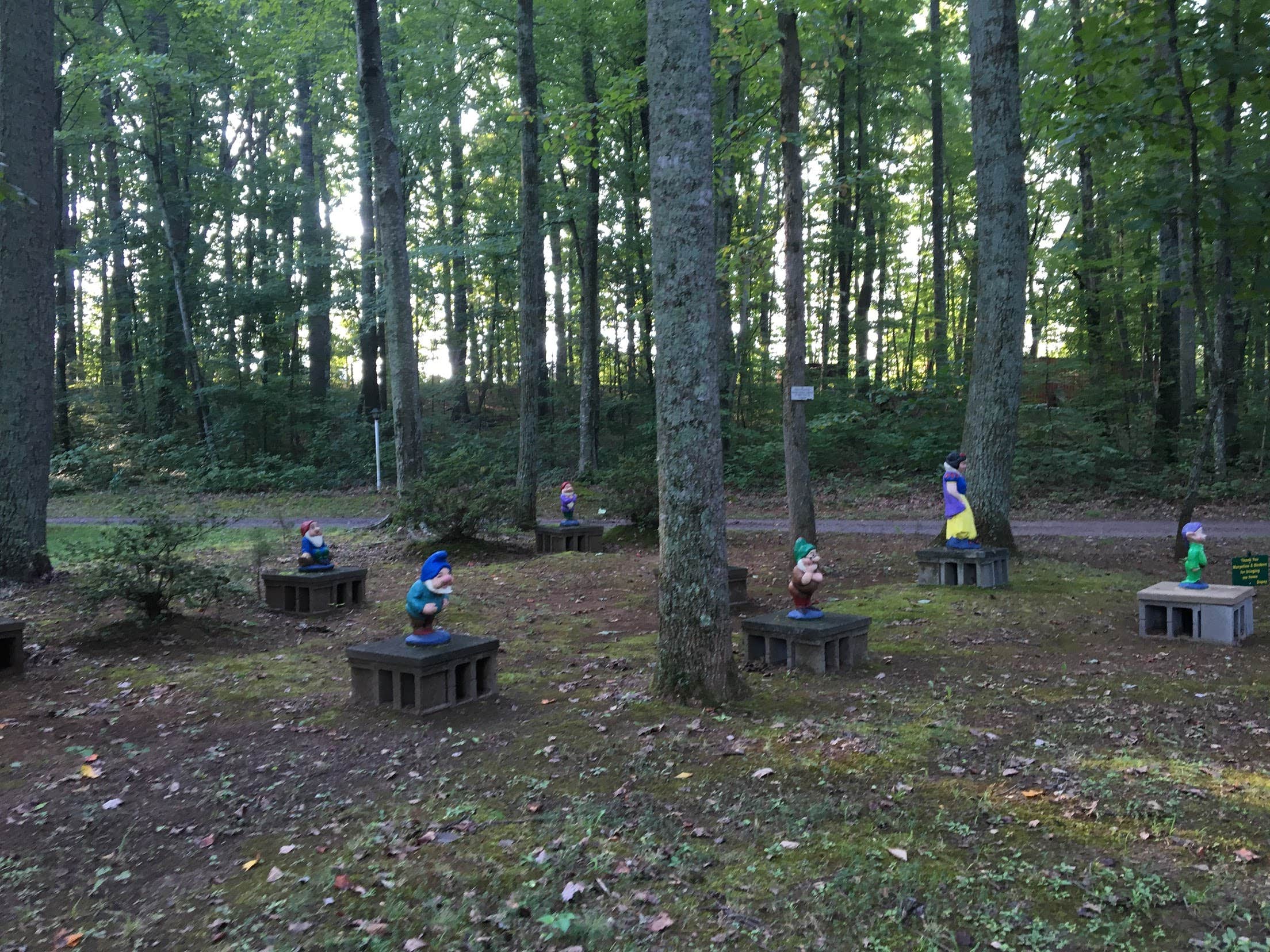 Camper-submitted photo at Madison Vines RV Resort & Cottages near Flint Hill, VA