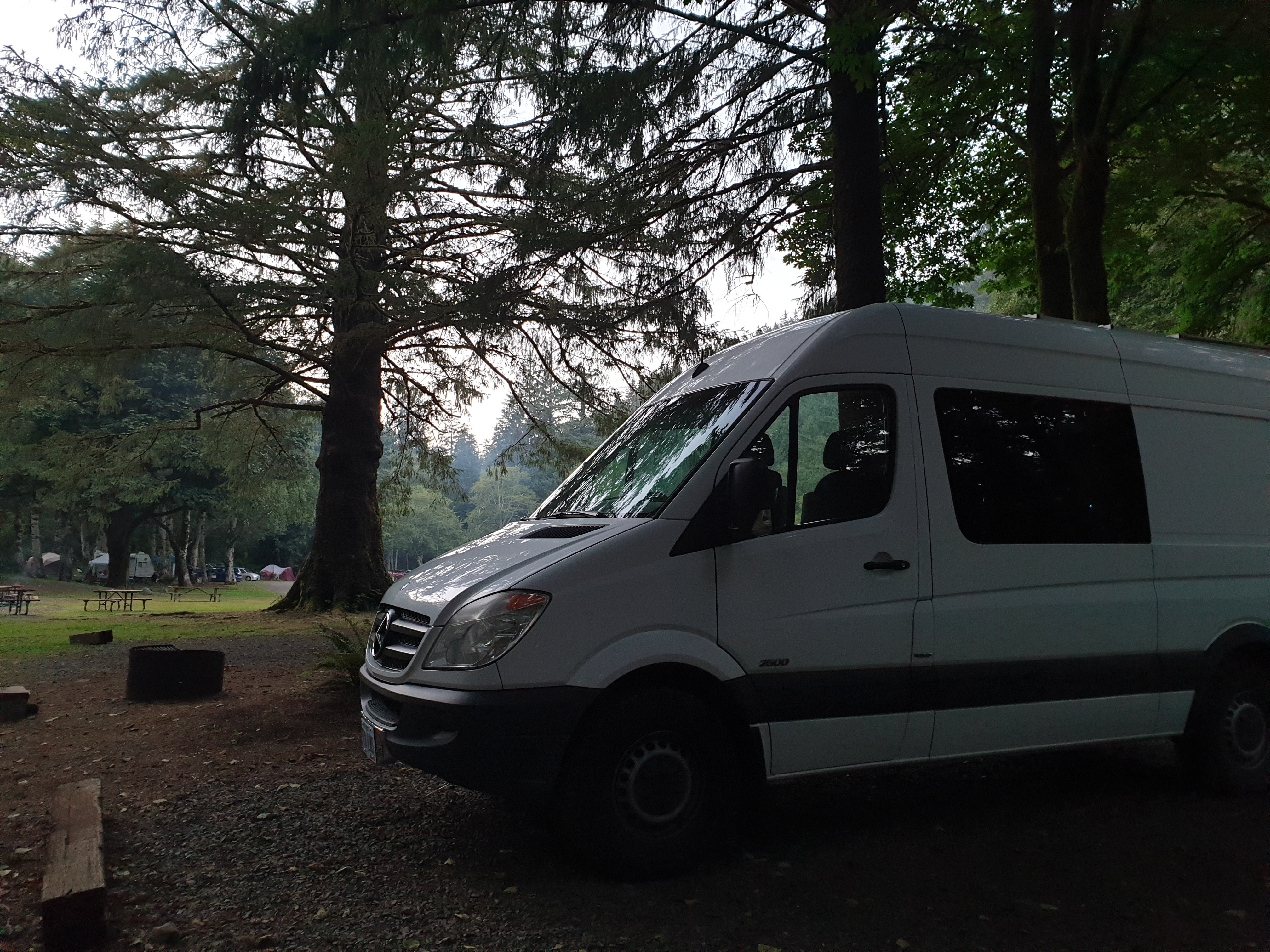 Camper submitted image from Kilchis Park - 3