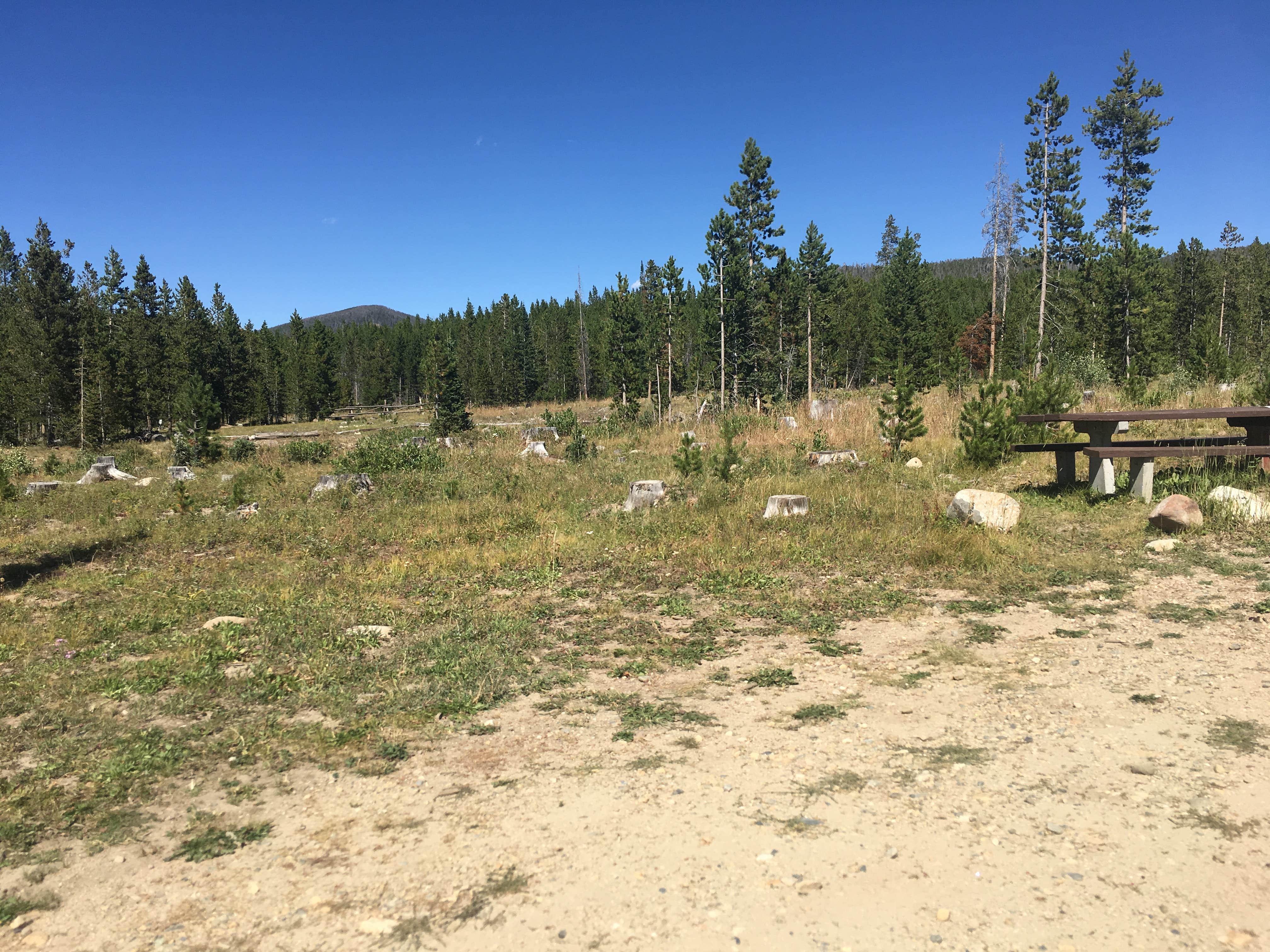 Camper-submitted photo at Pines Campground near Gould, CO
