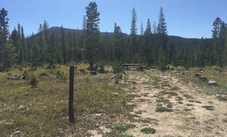 Camping near Ranger Lakes Campground — State Forest State Park: Pines Campground, Rand, Colorado