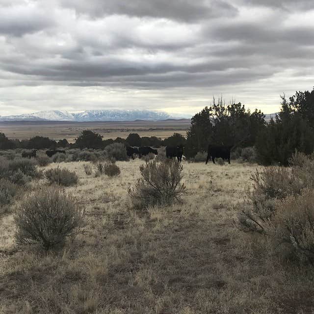 Camper-submitted photo at Camp Eagle Mountain near Sandy, UT