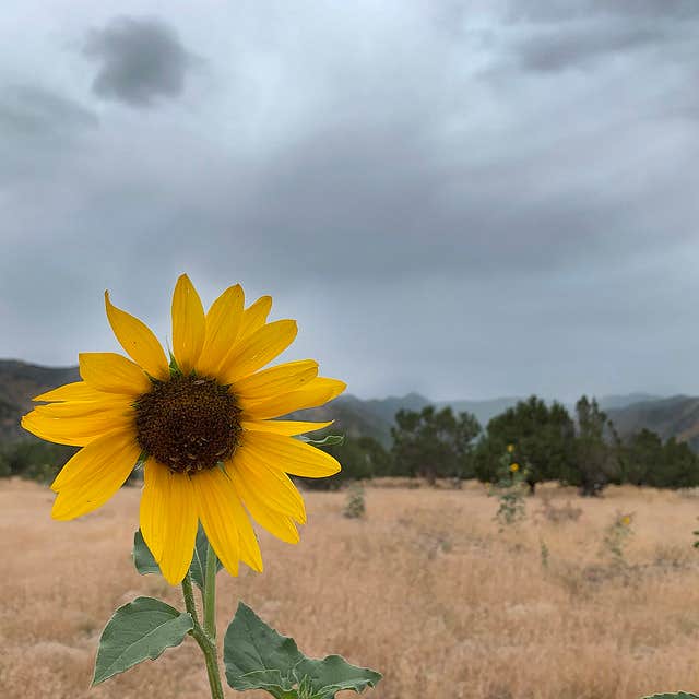 Camper-submitted photo at Camp Eagle Mountain near Sandy, UT