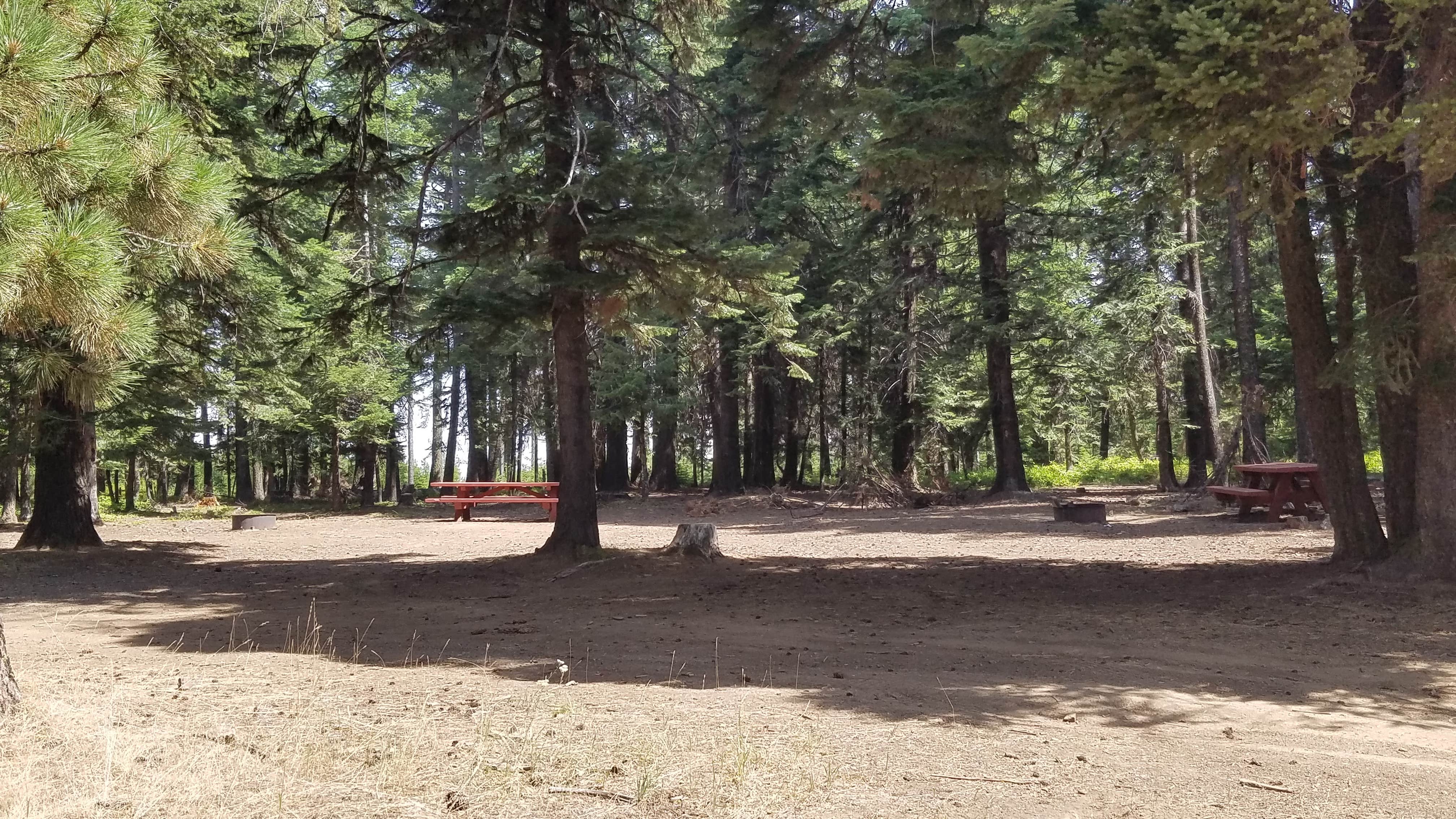Camper-submitted photo at Alder Thicket Campground near Dixie, WA