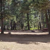 Review photo of Alder Thicket Campground by Juice B., August 29, 2019