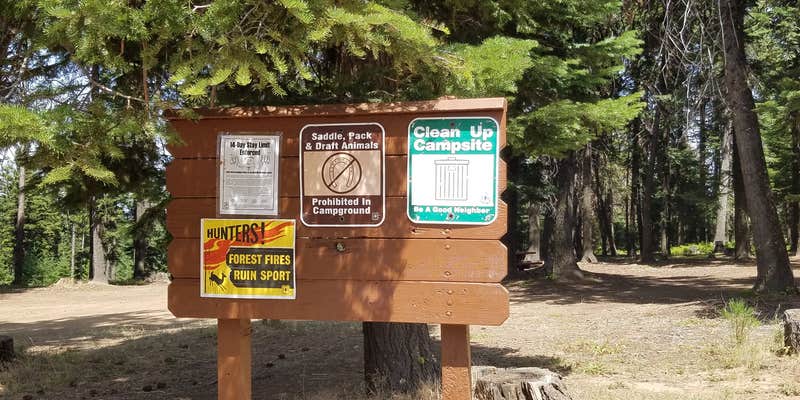 Camper submitted image from Alder Thicket Campground