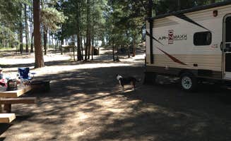 Joseph H.'s photo of camping with pets at Deer Valley Campground near Potter Valley, CA