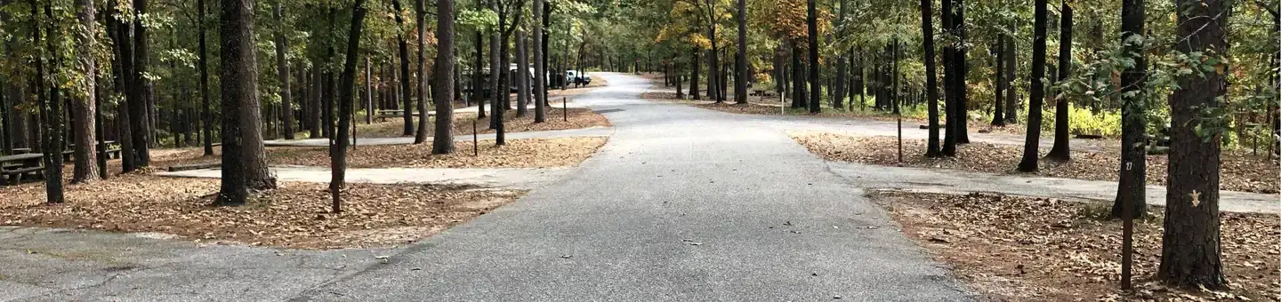 Camper-submitted photo at Iron Mountain near Bismarck, AR