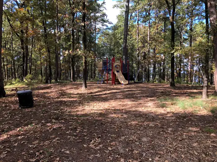 Camper-submitted photo at Iron Mountain near Bismarck, AR