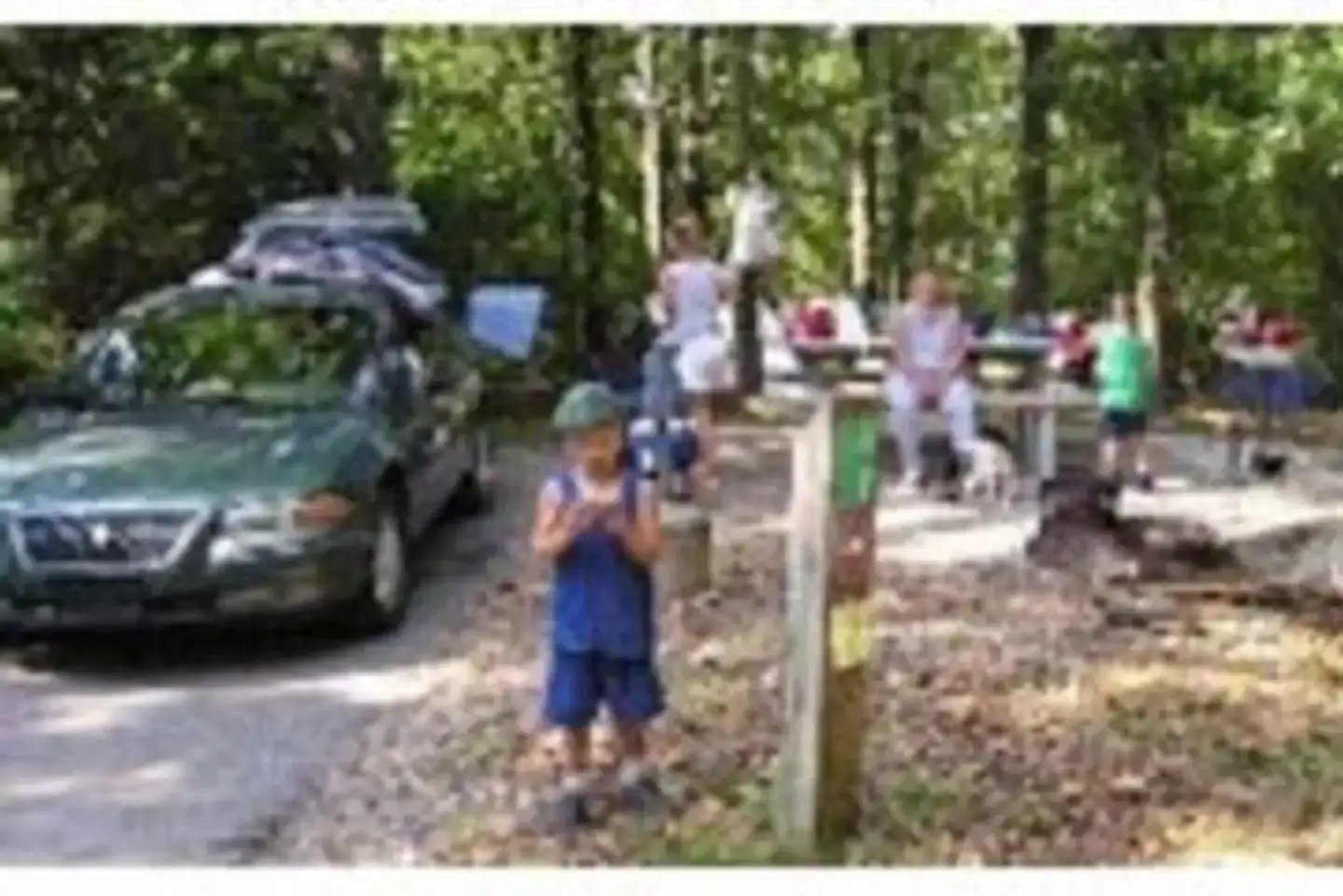 Camper-submitted photo at Lost Bridge North near Rogers, AR