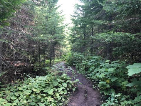 Camper-submitted photo at West Chickenbone Campground — Isle Royale National Park near Isle Royale National Park