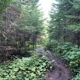 Review photo of West Chickenbone Campground — Isle Royale National Park by Alexa S., September 28, 2016