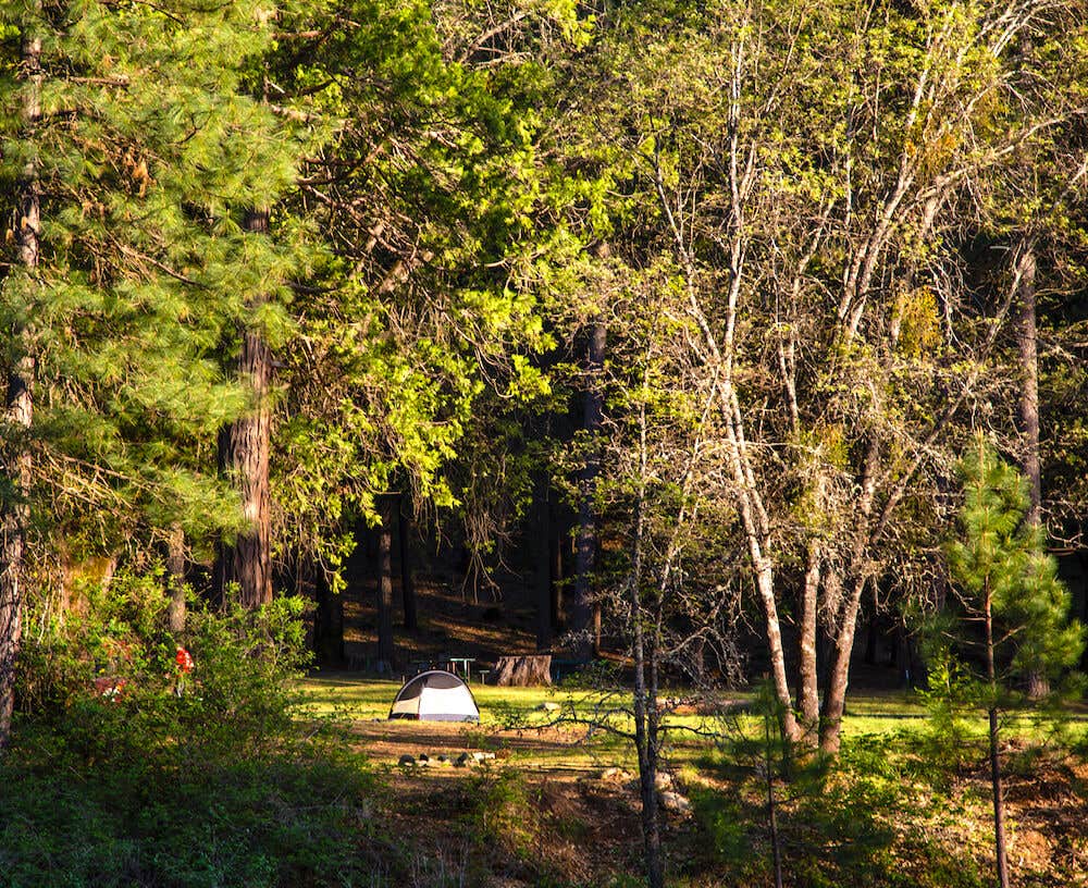 Camper-submitted photo at Thousand Trails Yosemite Lakes near Long Barn, CA