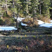 Review photo of John Muir Cabin by Katie K., September 28, 2016