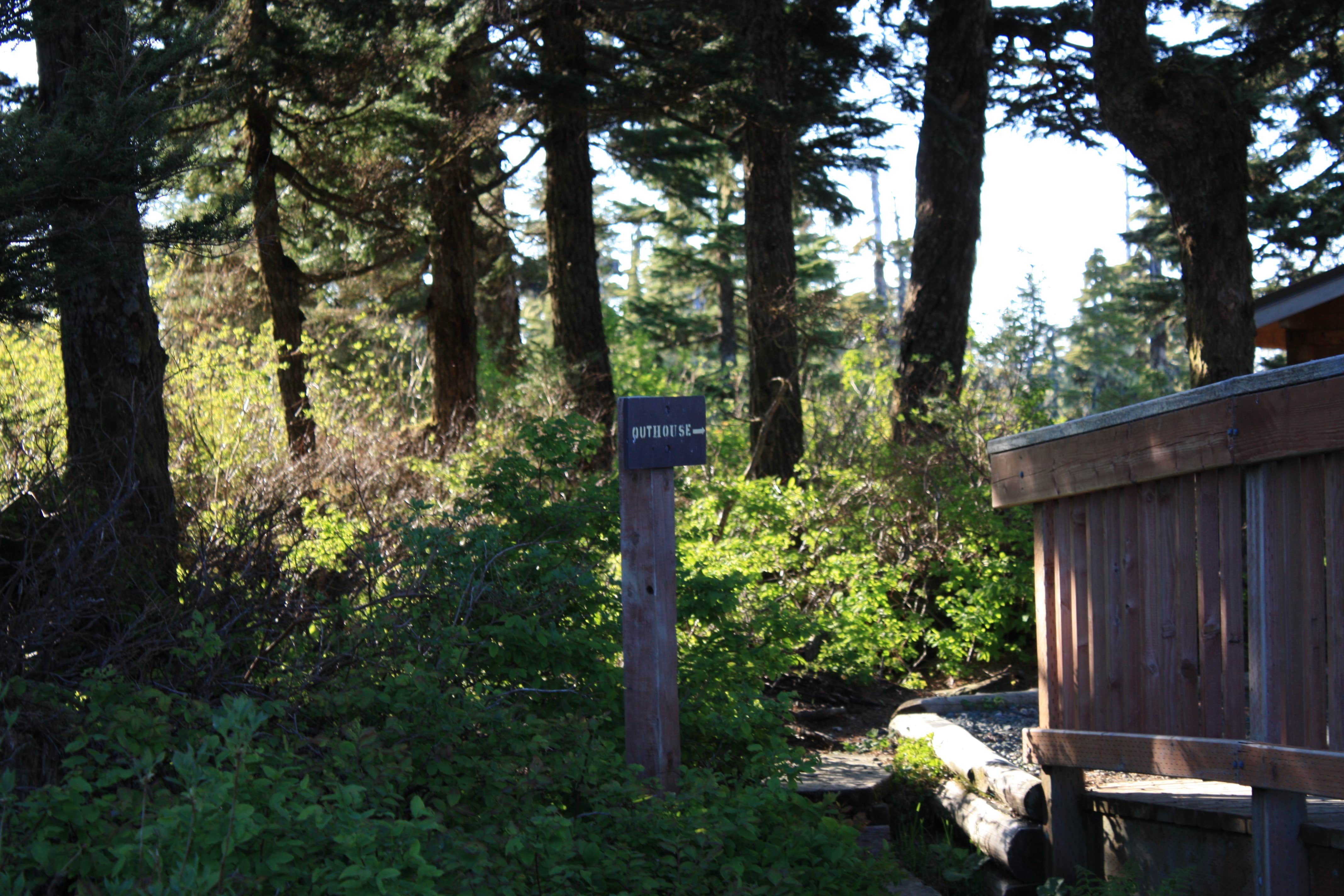Camper submitted image from John Muir Cabin - 5