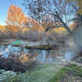 Review photo of Sacred Springs by Katherine C., November 22, 2025