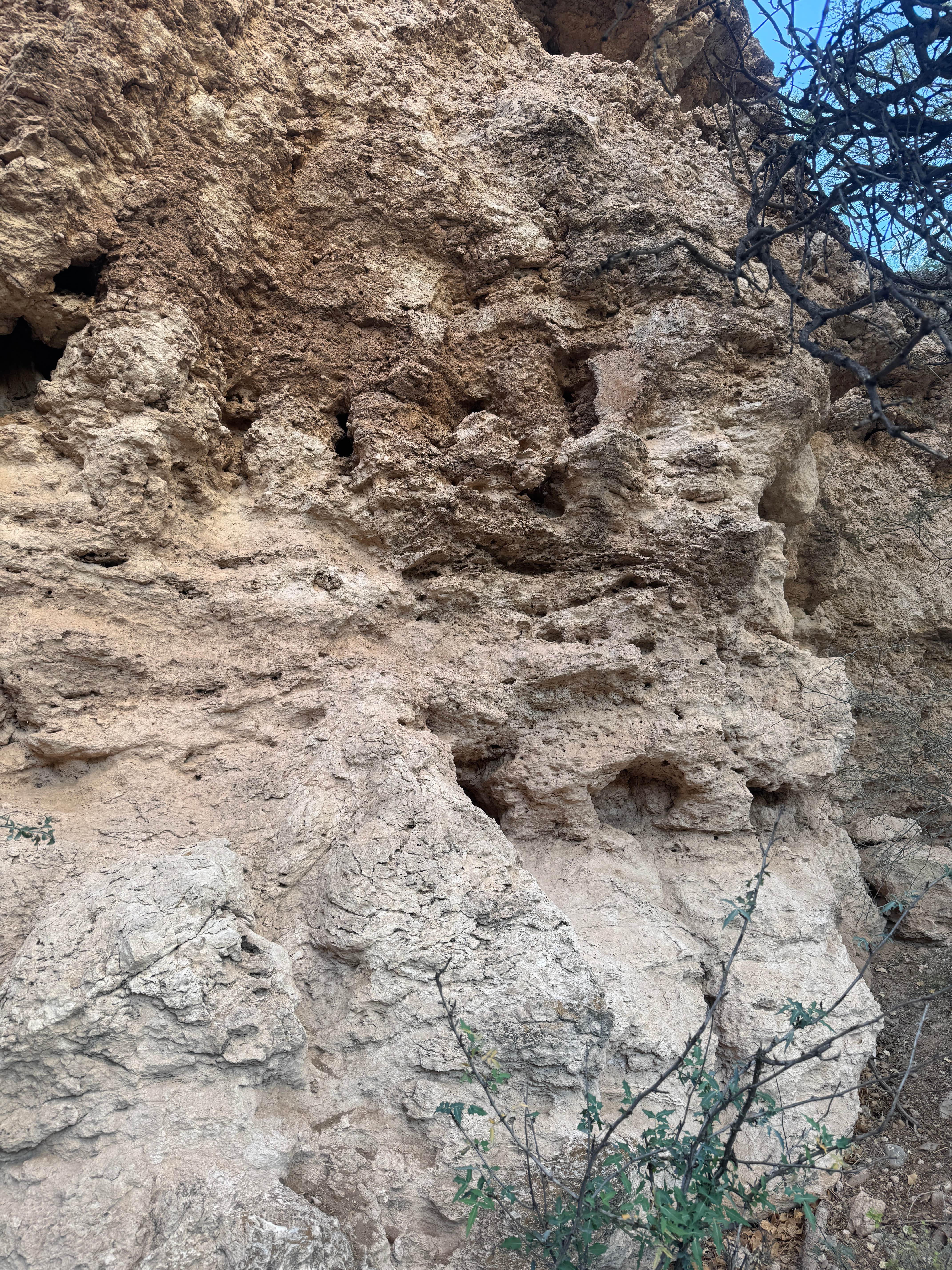 Camper submitted image from Sacred Springs - 1