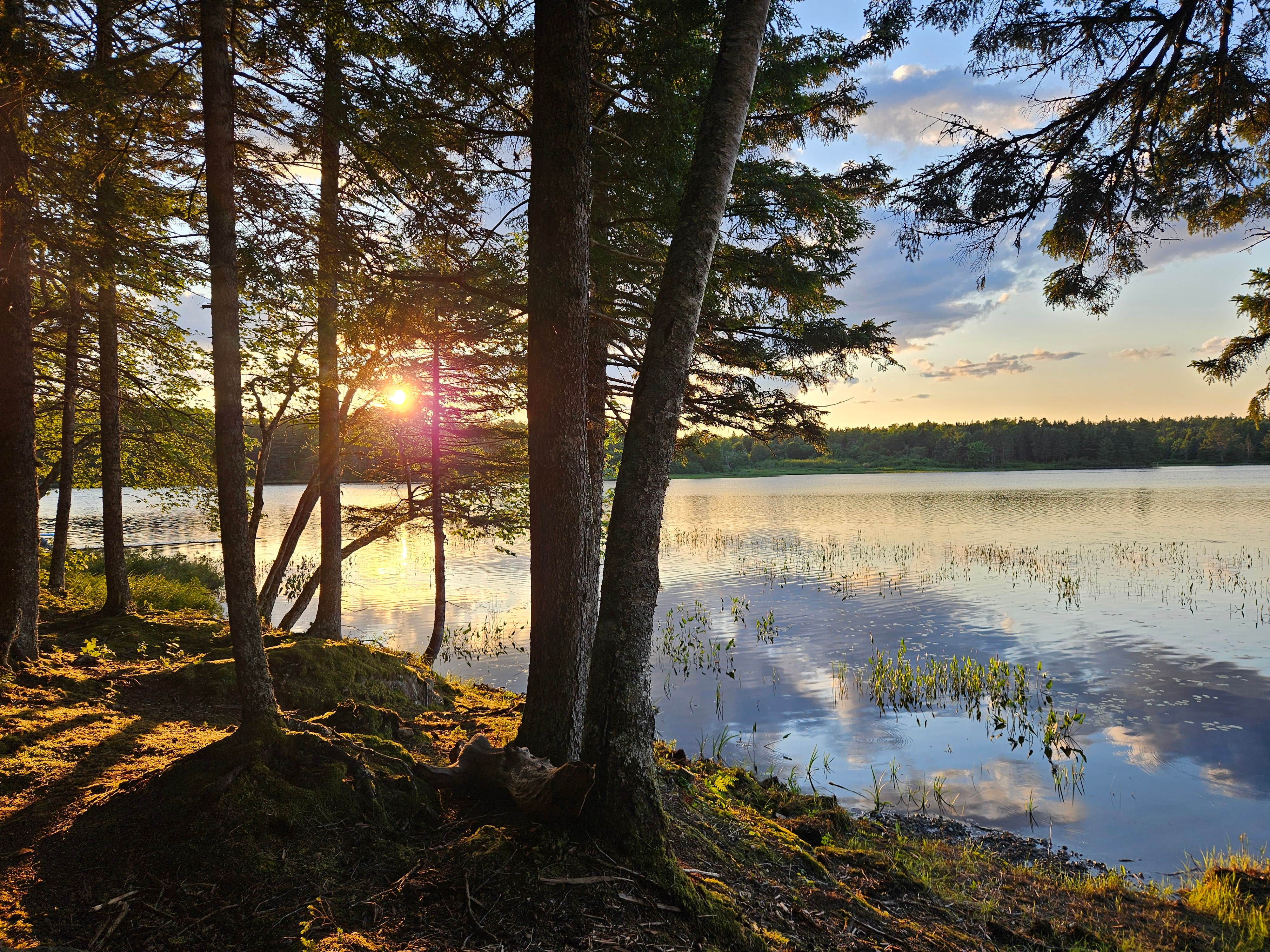 Camper-submitted photo at Conor's Landing near Lubec, ME