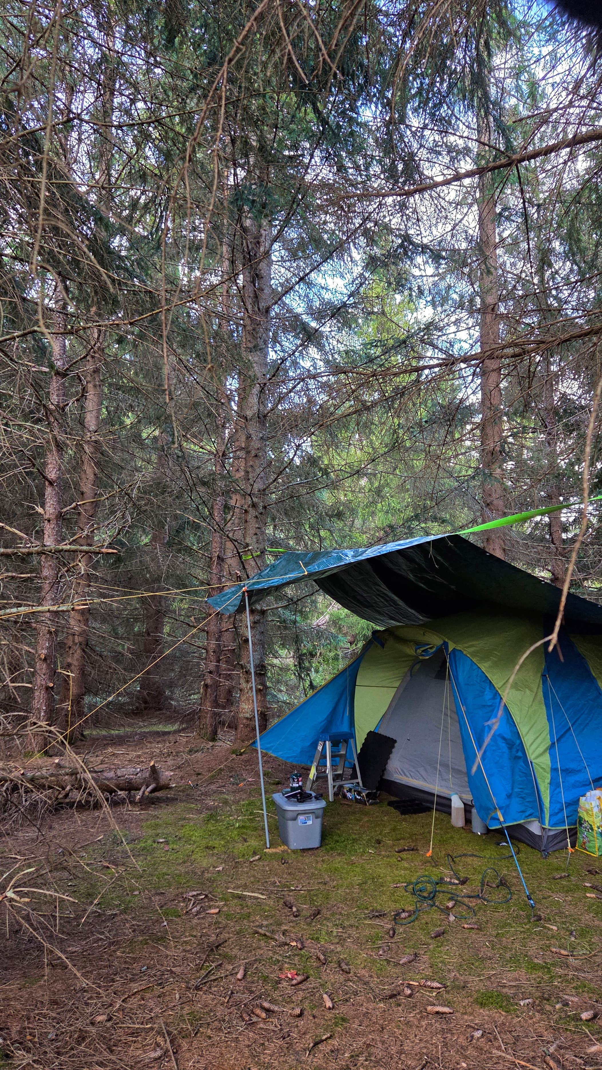 Ric M.'s photo at Dispersed camping at Mower Basin near Snowshoe, WV
