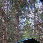 Review photo of Dispersed camping at Mower Basin by Ric M., November 22, 2025