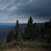 Review photo of Dispersed camping at Mower Basin by Ric M., November 22, 2025