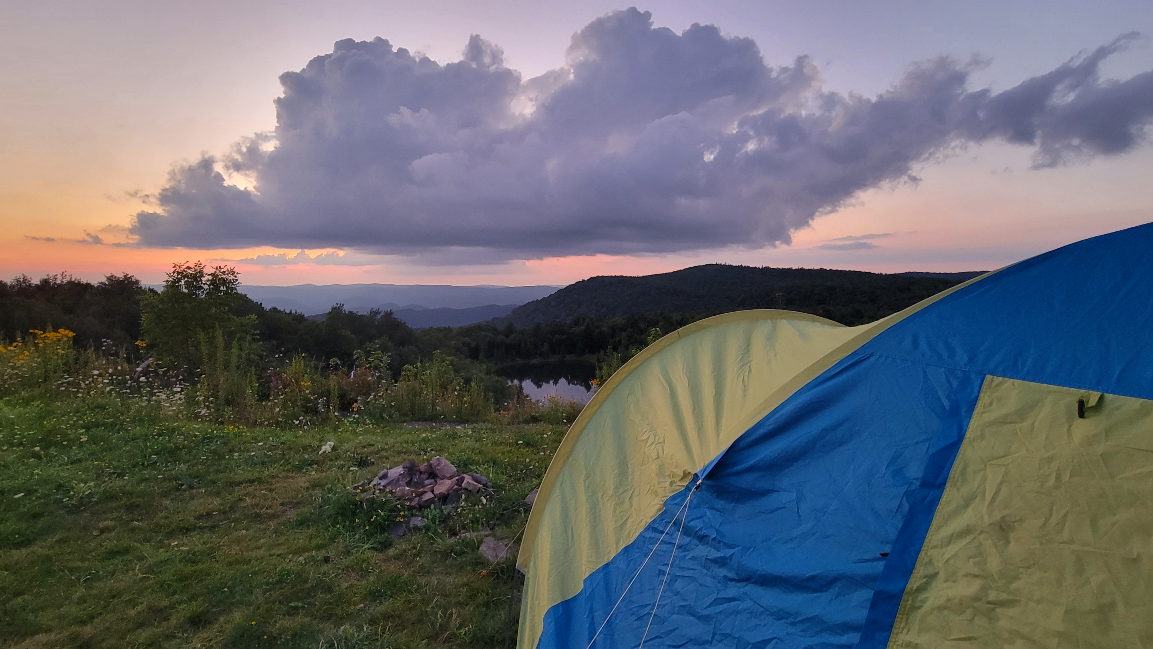 Ric M.'s photo of a dispersed camping area at Dispersed camping at Mower Basin near Durbin, WV