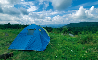 Ric M.'s photo of camping with pets at Dispersed camping at Mower Basin near Walkersville, WV