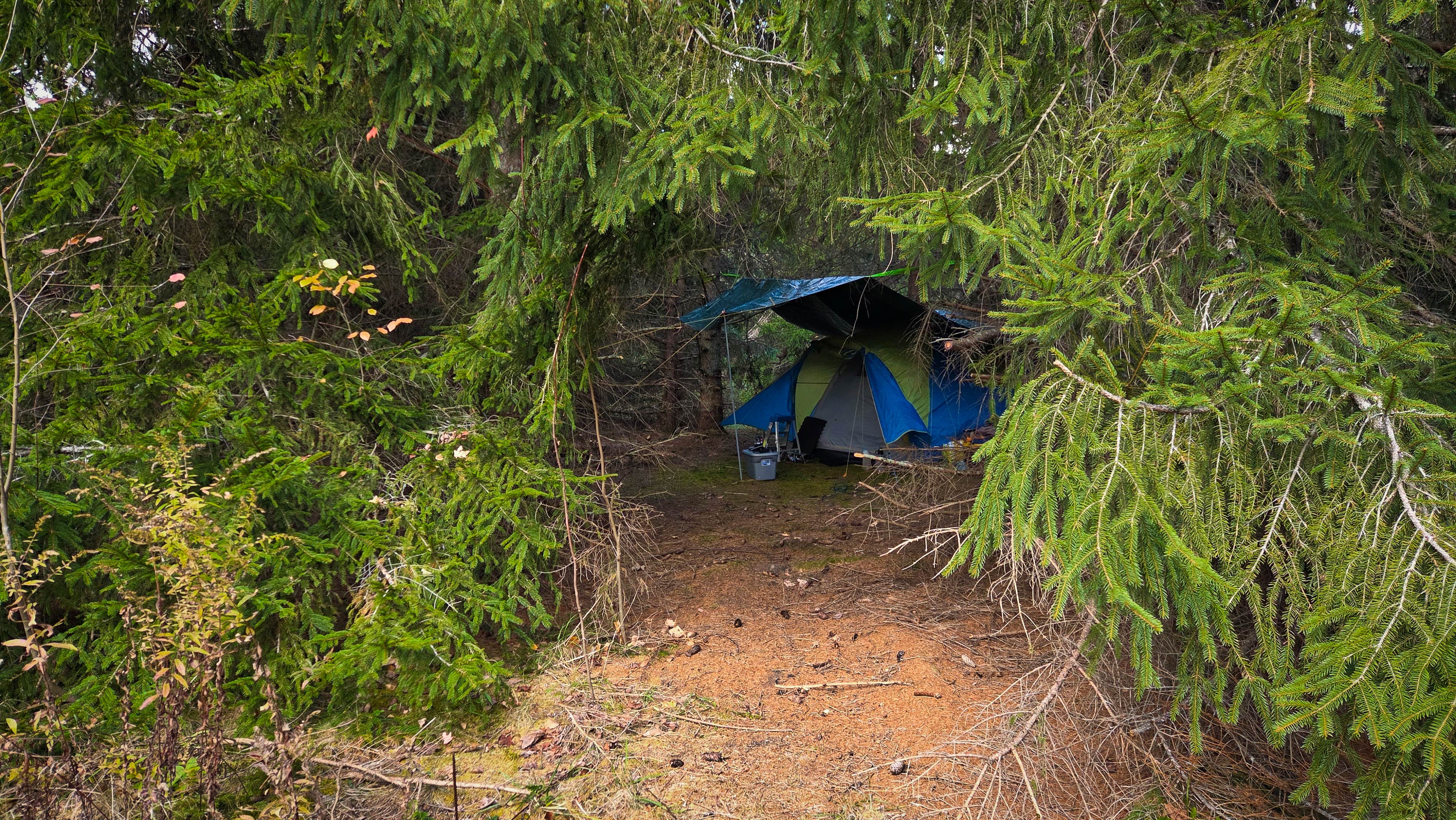 Camper-submitted photo at Dispersed camping at Mower Basin near Snowshoe, WV