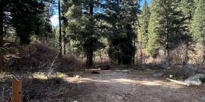 Camper submitted image from Hayfork Group Campground