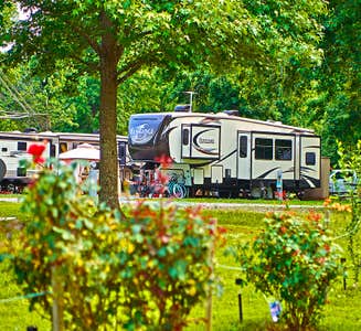 Camper-submitted photo from Anvil Campground