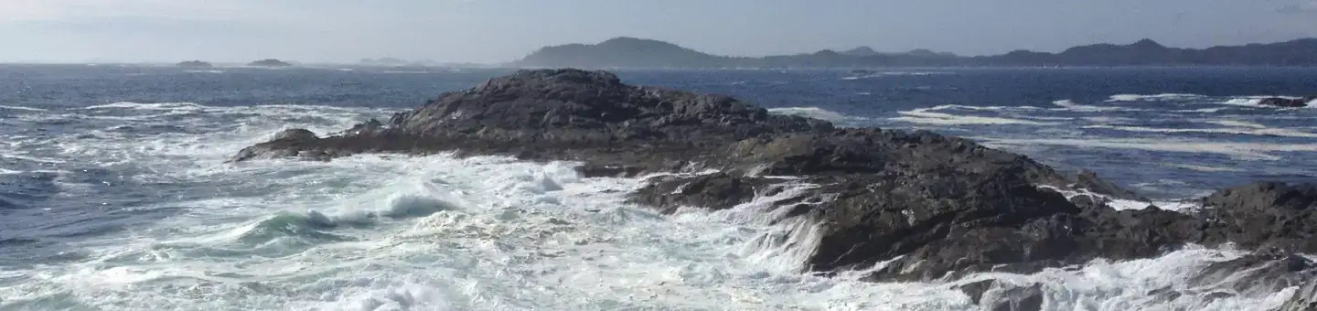 Camper-submitted photo at White Sulphur Springs Cabin near Gustavus, AK