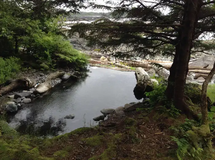 Camper-submitted photo at White Sulphur Springs Cabin near Gustavus, AK