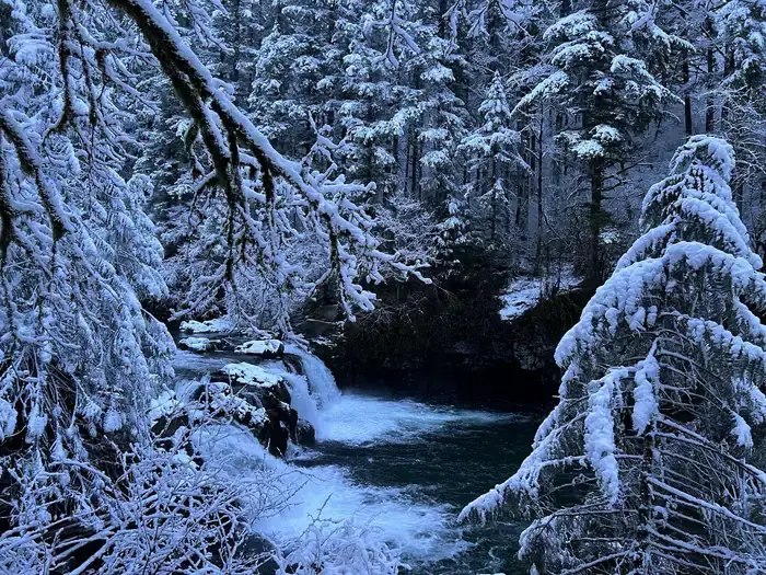 Camper-submitted photo at Sunset Falls Campground near Yacolt, WA