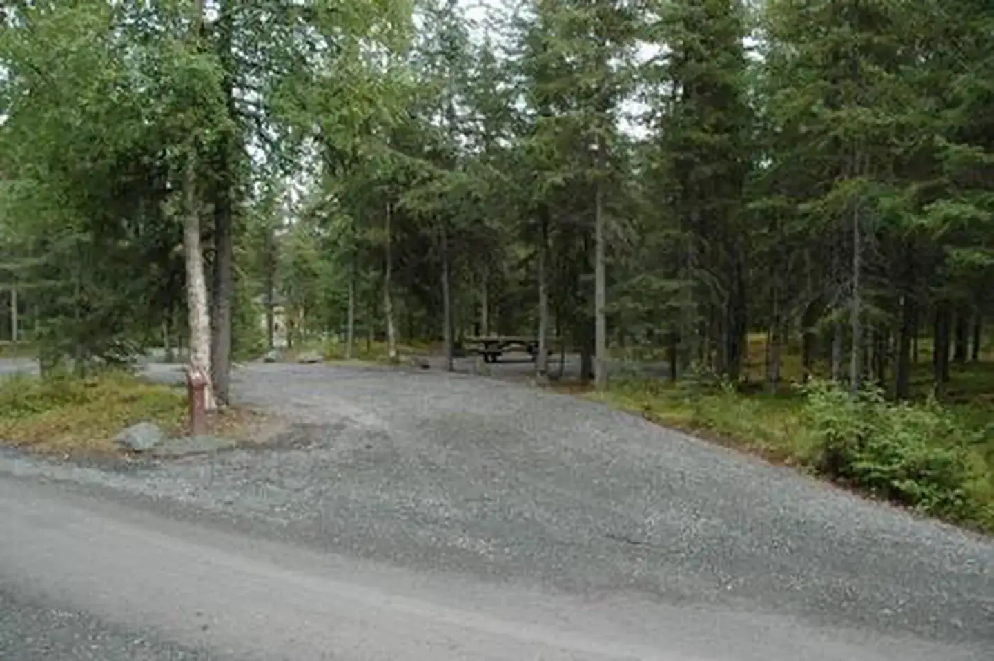 Camping near Tern Lake: Trail River, Moose Pass, Alaska