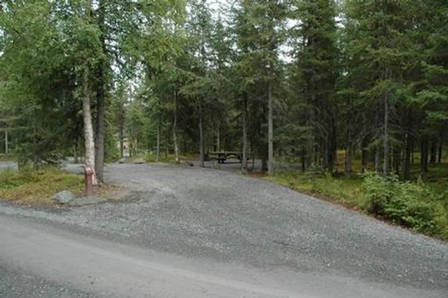 Camper submitted image from Trail River - 1