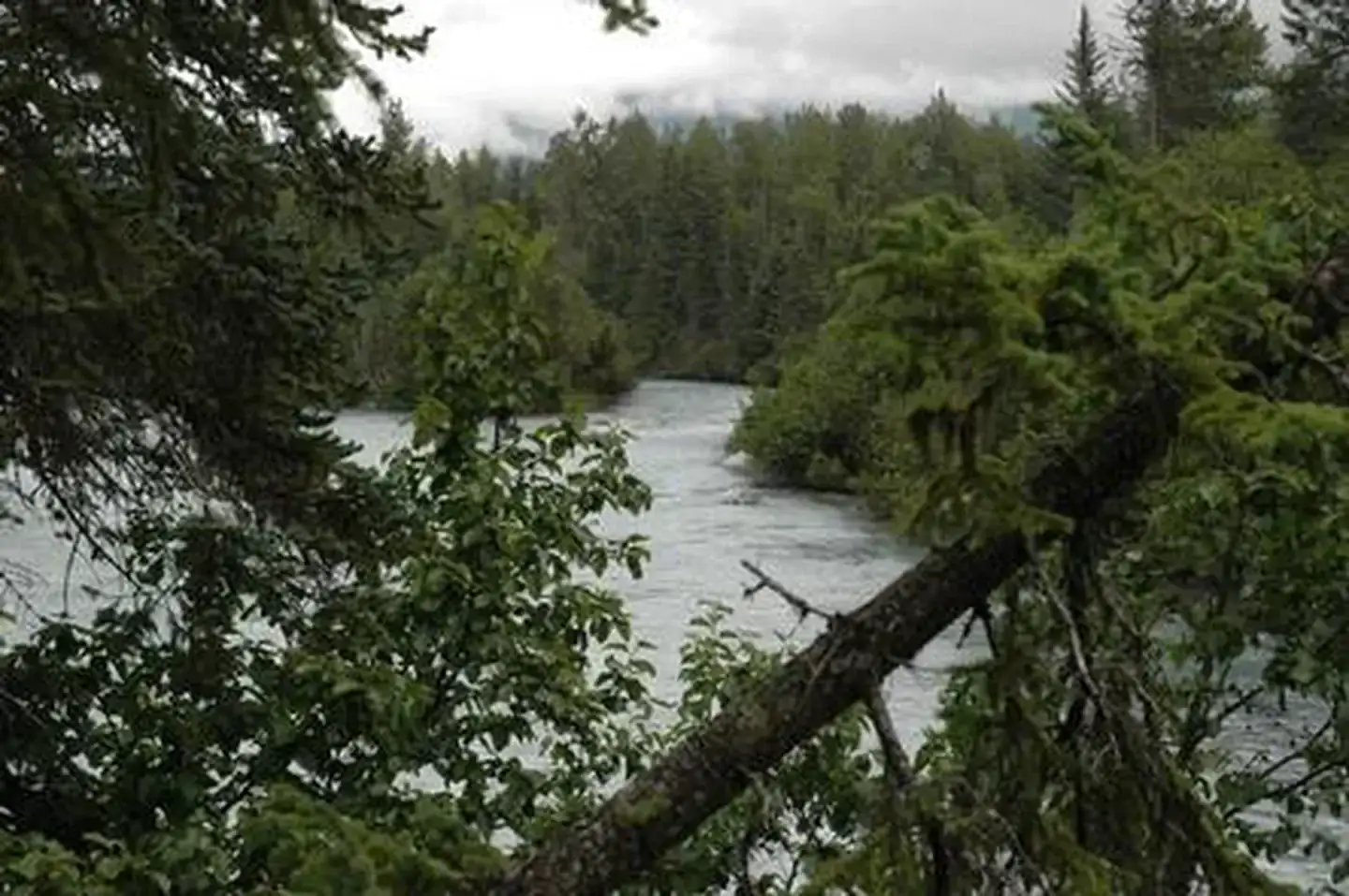 Camper-submitted photo at Trail River near Kenai Fjords National Park