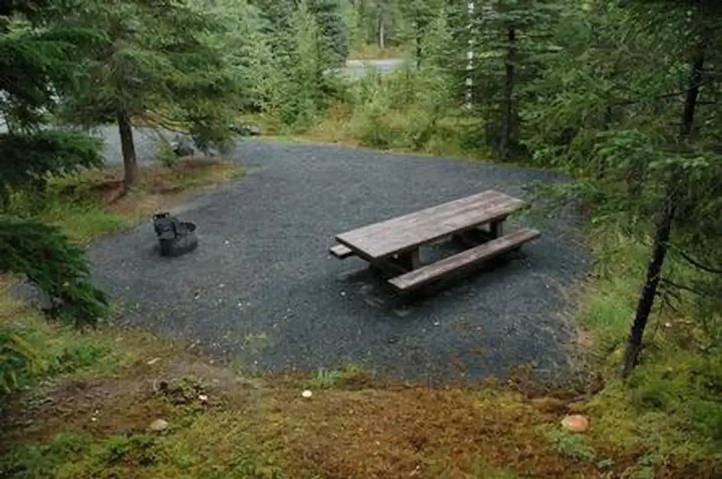 Camper-submitted photo at Trail River near Kenai Fjords National Park