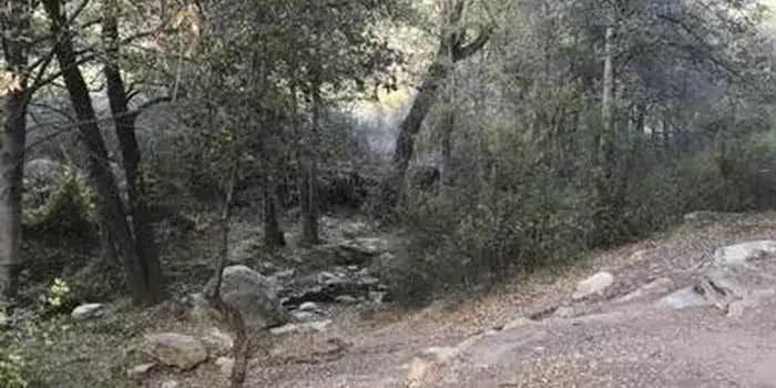 Camper submitted image from Reyes Creek Campground