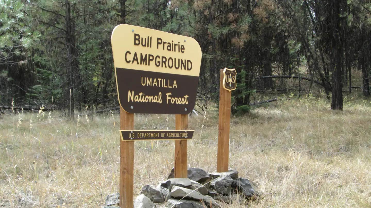 Camper submitted image from Bull Prairie Campground (OR) - 1