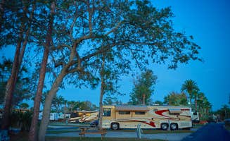 The Dyrt's photo of rv camping at Encore Tropical Palms near Clermont, FL